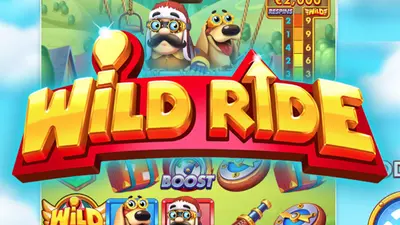 wild ride